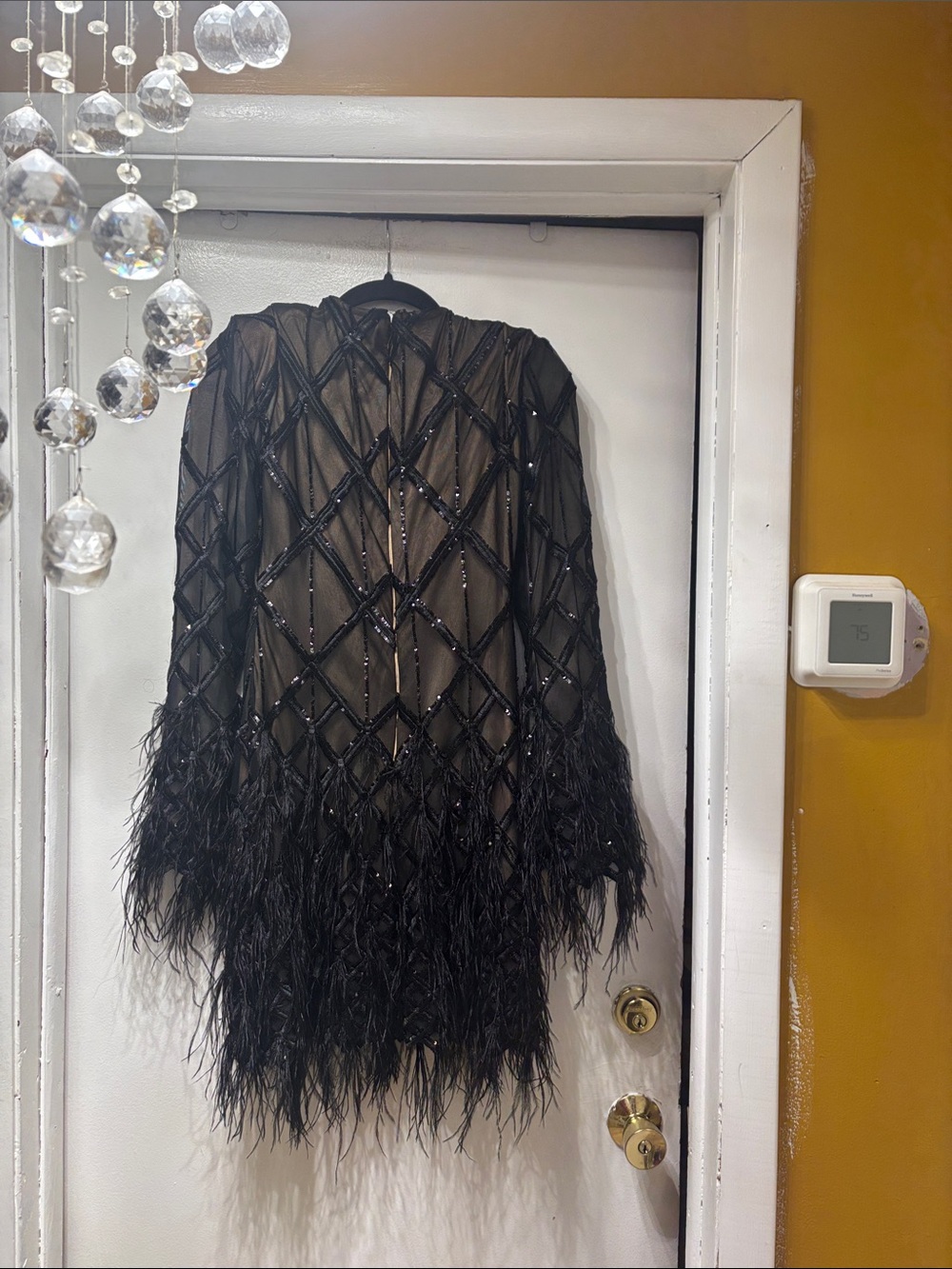 Fashion Nova Black Sheer Sequin & Feather-Trim Mini Dress - Picture 2 of 3